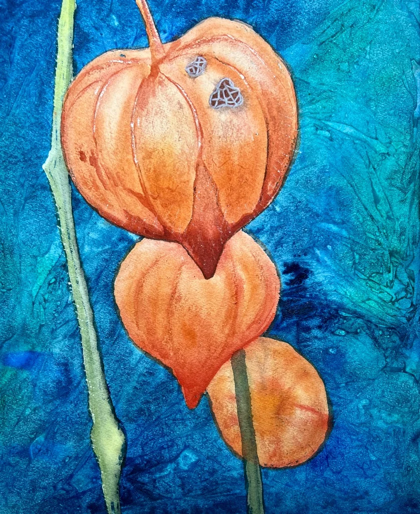Chinese Lantern Blooms - Hand-painted watercolour flower painting by Simon Robin Stephens