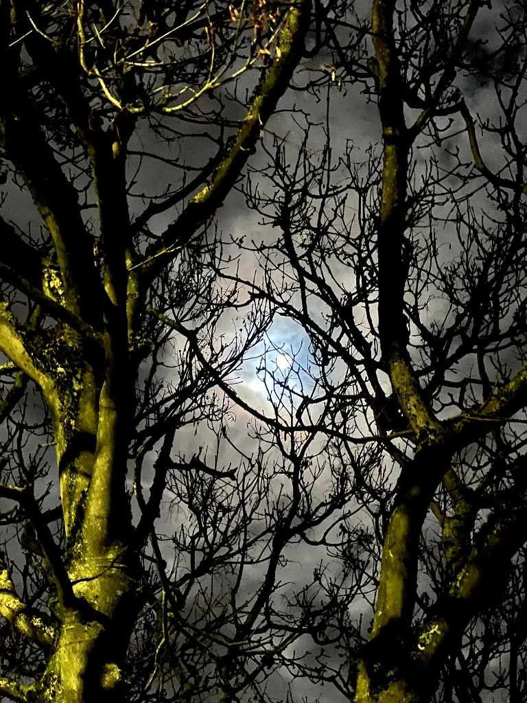 Sanctuaries of the Mind: Creating Visual Calm for Therapy Spaces - Simon Robin Stephens Art blog